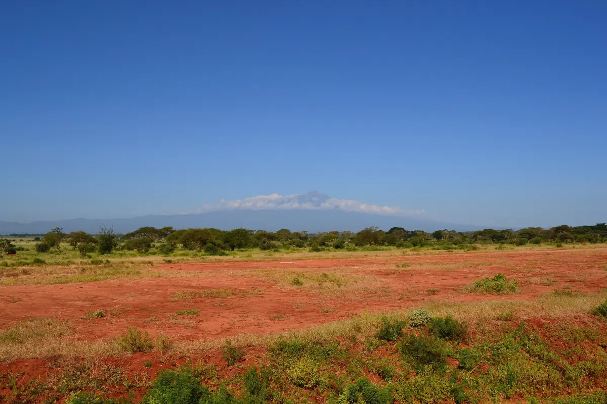 Kilimanjaro on the horizon above red soil and bush near Tsavo West