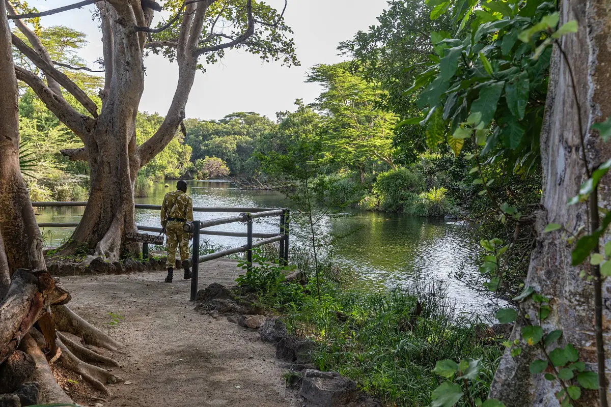 Viewing path beside the green pool at Mzima Springs in Tsavo West