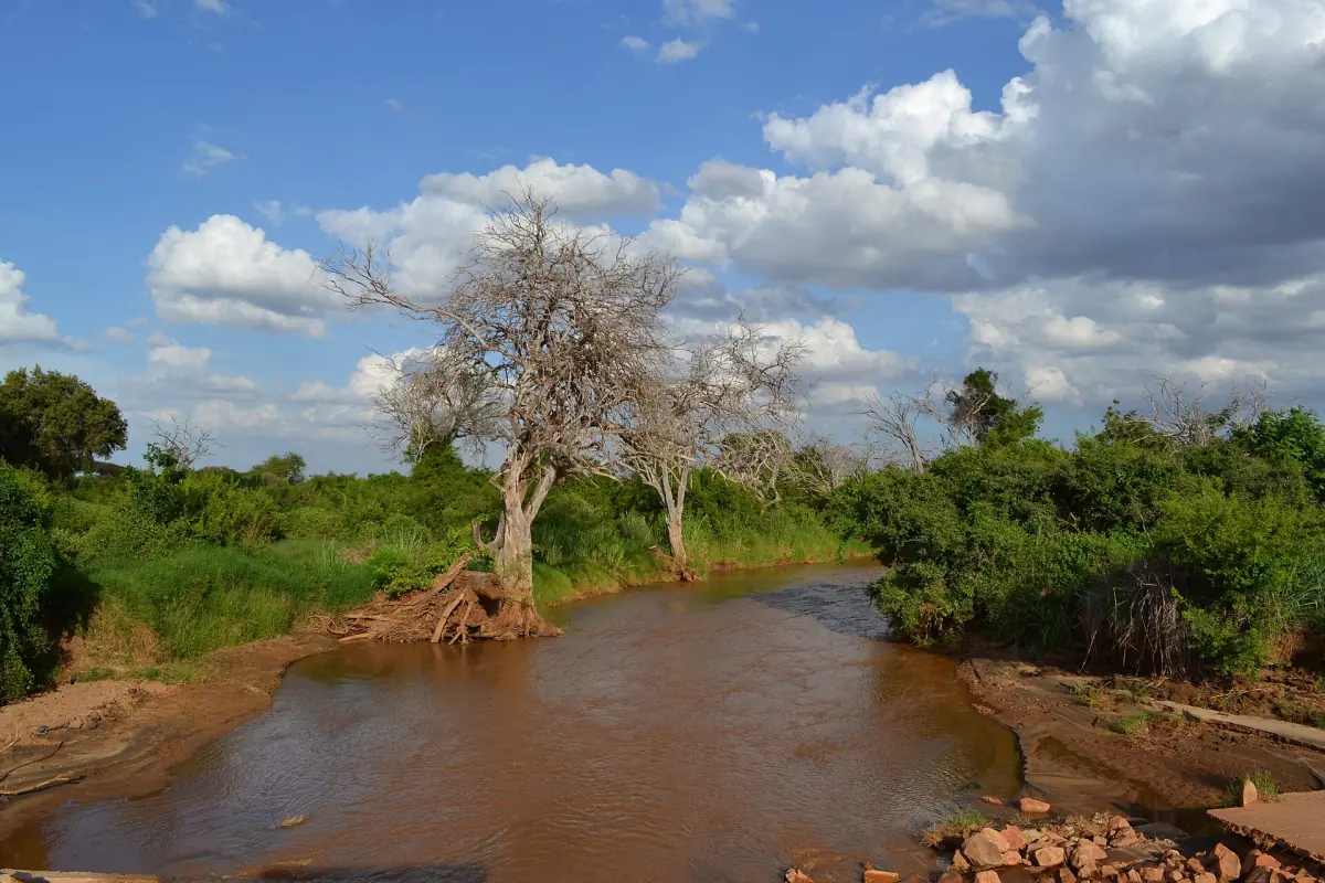 Brown Voi River winding through green bush near Aruba Dam in Tsavo East