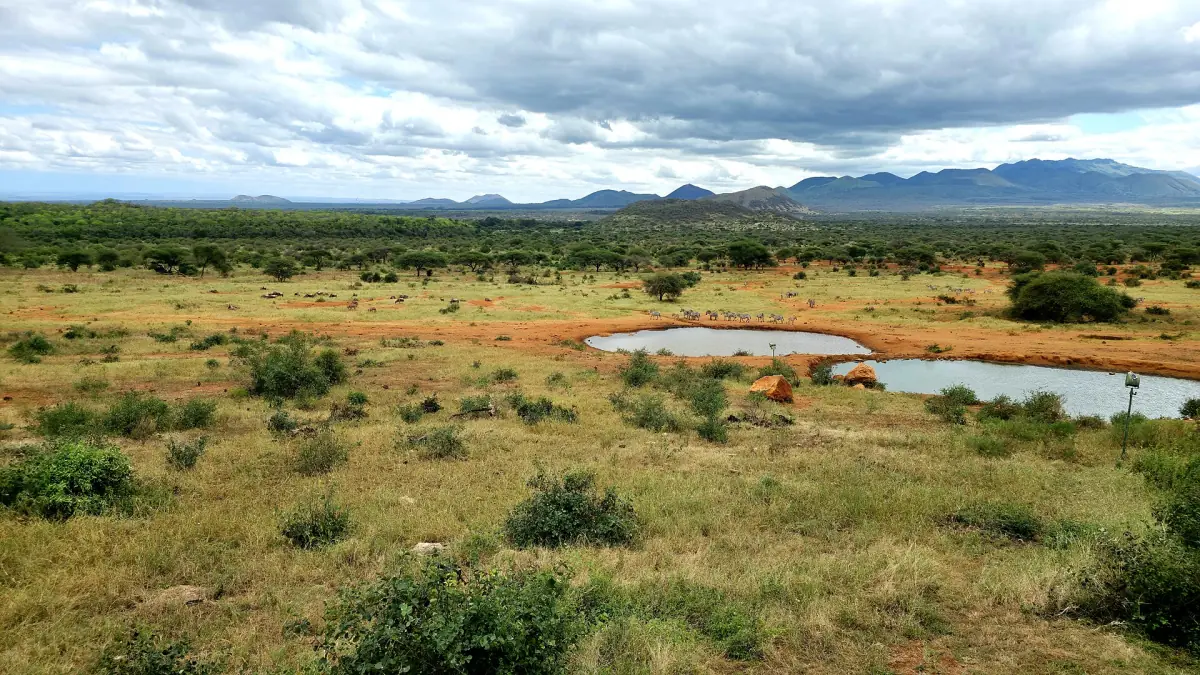 Open savanna with scrub and a pond under a cloudy sky in Tsavo West