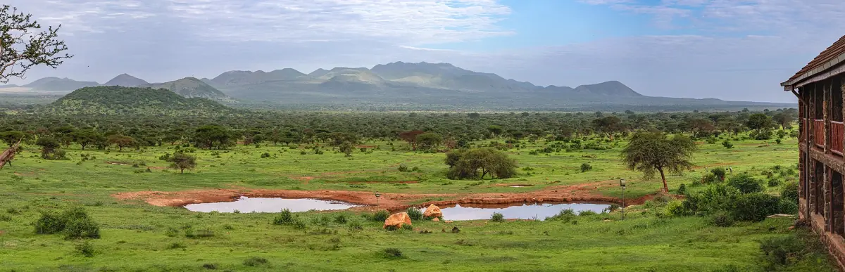 Green plain with small waterholes and blue hills in Tsavo West National Park